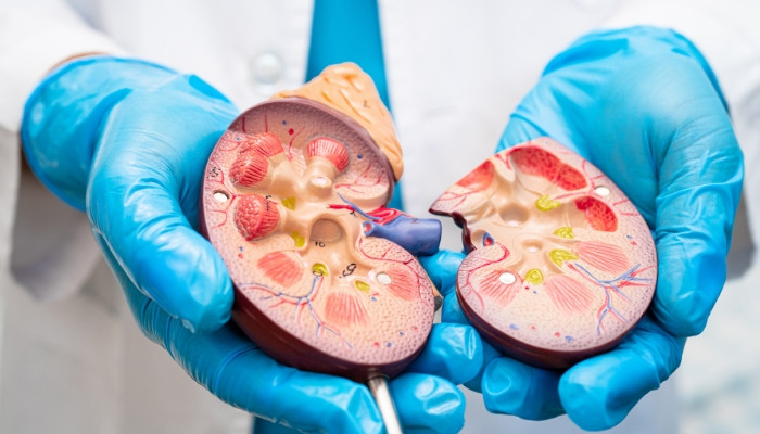 Urinary Tract Infections